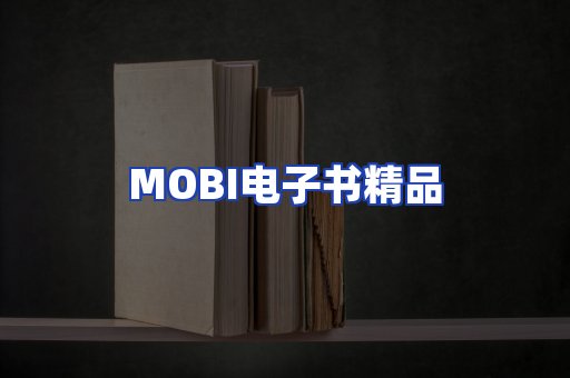 外文电子书产品